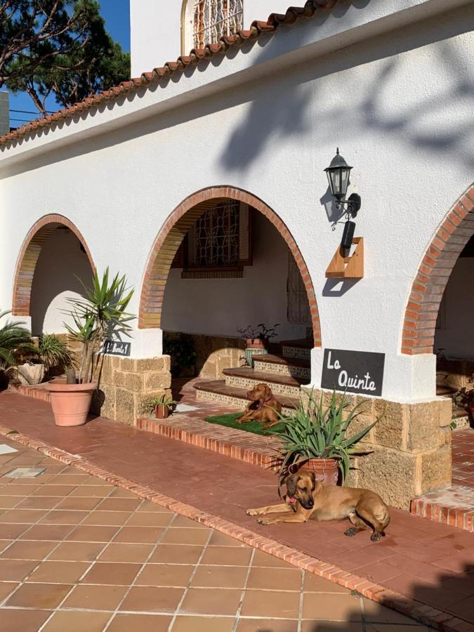 La Quinta - La Barrosa Villa Chiclana de la Frontera Ngoại thất bức ảnh